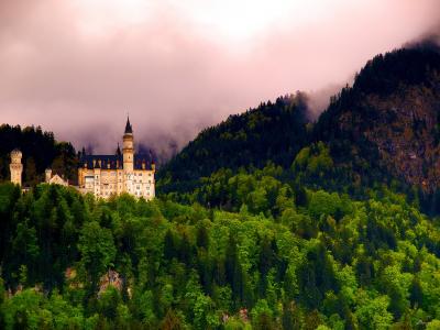 新天鹅堡，德国巴伐利亚州，新天鹅堡，巴伐利亚，德国，森林，城堡，景观