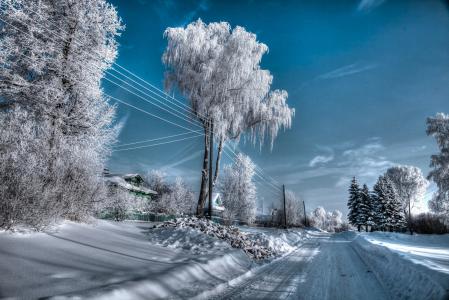 冬天，雪，树木，村庄，道路