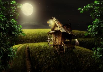 夜，月亮，路，场，房子，景观