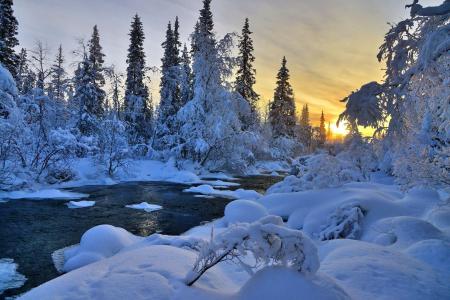 冬天，河，自然，树，景观