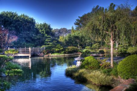 花园，厄尔伯恩斯米勒，日本，加利福尼亚州，美国，美容