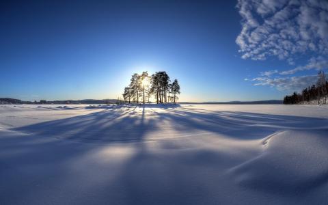 冬天，树木，光，雪