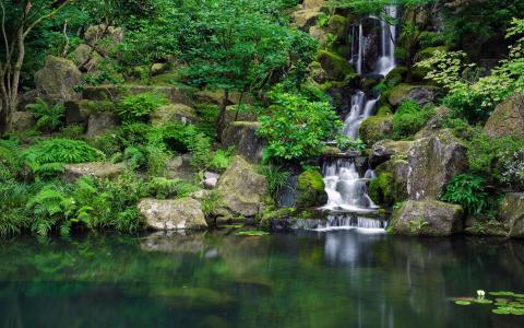 日本花园，公园，池塘，瀑布，石头
