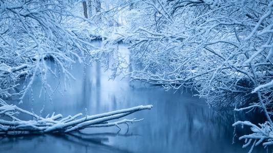 自然，冬天，河，雪，美容，分支机构