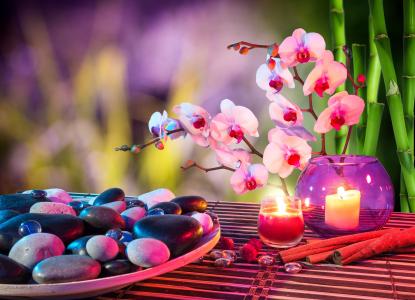 石头，蜡烛，兰花，竹子