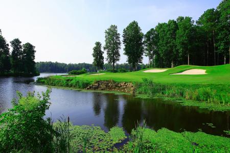 河流，树木，高尔夫球场，景观