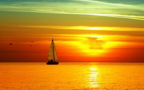 海，日落，游艇，帆，水，天空