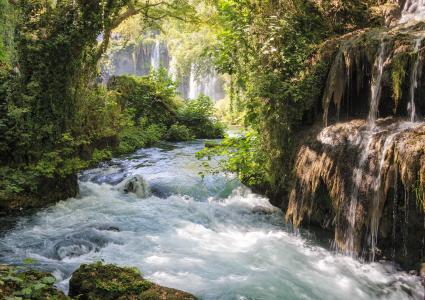 瀑布，河流，树木，大自然