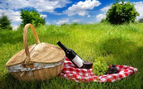 野餐，自然，酒，葡萄，篮子