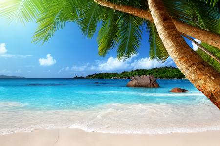 海滩，翡翠，蓝色，海岸，天堂，海，热带，海洋，棕榈