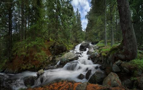 Skakavica瀑布，里拉国家公园，保加利亚，保加利亚，瀑布，森林