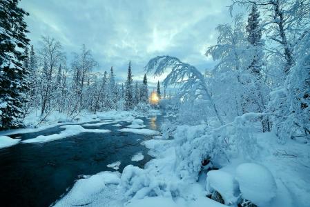 冬天，河，自然，树，景观