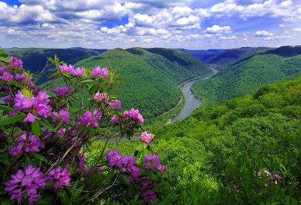 自然，河流，山脉，鲜花