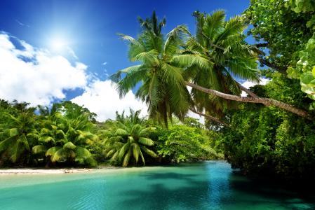 海滩，海洋，棕榈树，海，夏天，翡翠，天堂，热带，蓝色