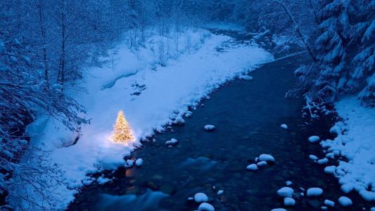晚上，森林，冬天，雪，河，树，灯，假期，新的一年