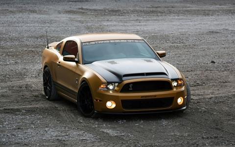 福特Mustang福特野马gt640，金蛇，汽车，汽车，汽车，汽车