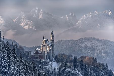 城堡noischwanstein，德国，新天鹅堡，德国，巴伐利亚，天空，山，树，雪，冬季，景观，城堡