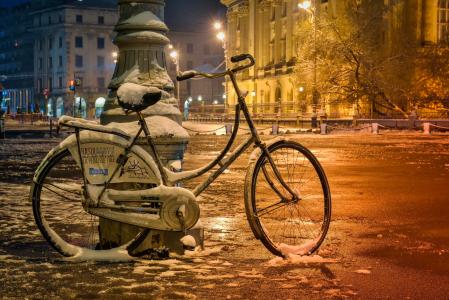 街道，雪，布加勒斯特，自行车