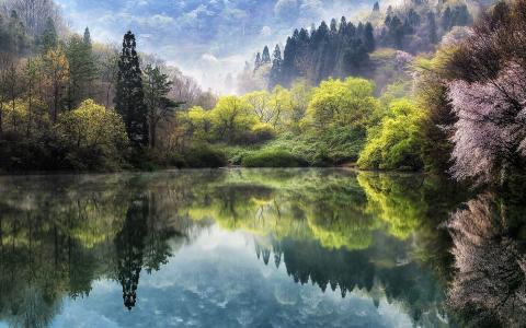 春天，日本，美丽，池塘，山脉