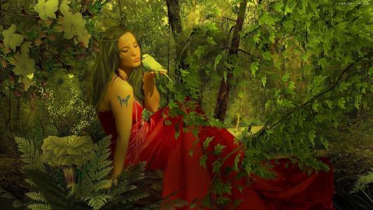 森林，仙女，在，红色，裙子，说话，与，鸟，在，丛林，森林