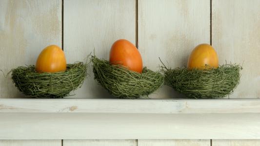 鸡蛋，板，巢，复活节