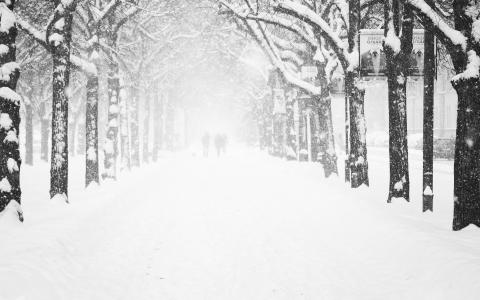 降雪，雪花，暴雪，人，树木，街道，城市，冬天