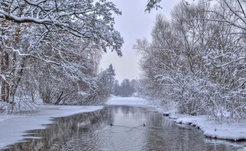 冬天，河，树木，性质