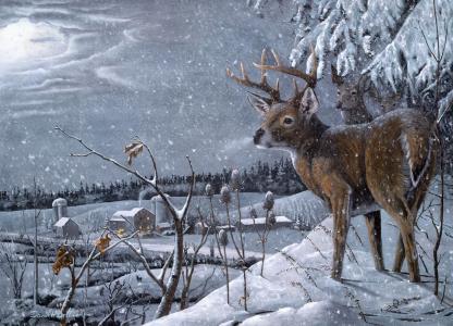 大卫H博尔曼，鹿，冬天，雪，村庄，艺术