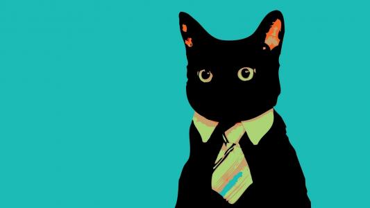 领带，看起来，猫，极简主义