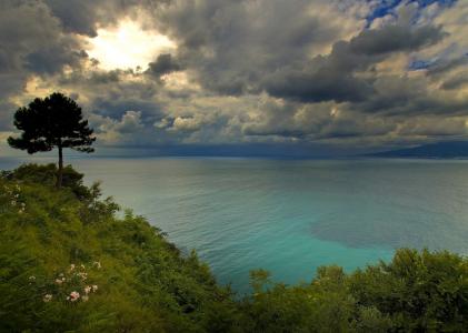 意大利那不勒斯海湾，意大利那不勒斯海湾，云，木材，海岸