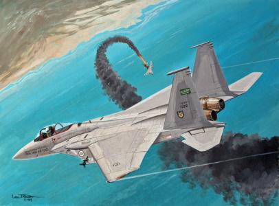 胜利，天空，艺术，F-15，空战