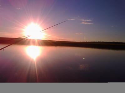 夏天2017年，哈萨克斯坦，湖，太阳，日落，晚上，钓鱼