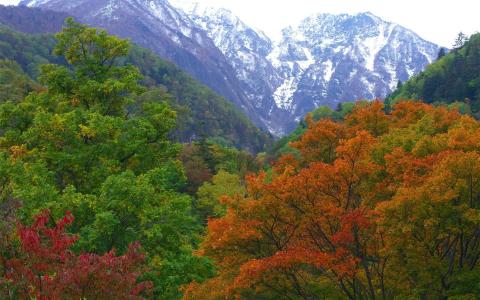 自然，山，森林，自然，景观，山，秋天
