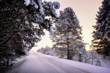 冬天，雪，树木，道路