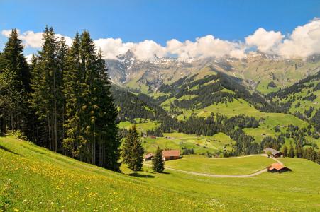 瑞士Berner Oberland高山，丘陵，房屋，树木，景观
