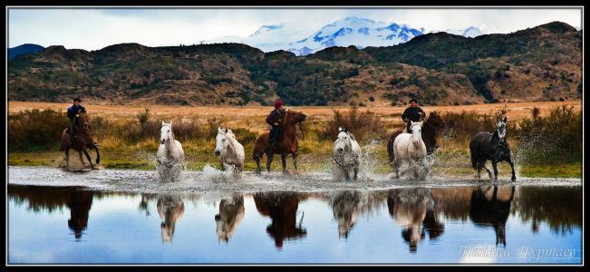 智利，高胡，河流，山脉，马匹，骑兵
