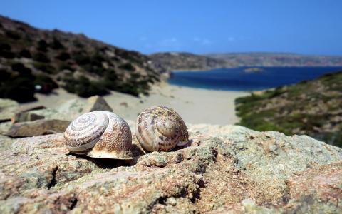 海，山，沙滩，岸边，蜗牛，石头
