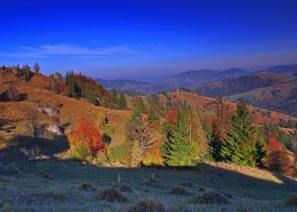 罗马尼亚，山，丘陵，天空，树木，景观