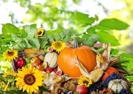 食物，秋季，水果，蔬菜