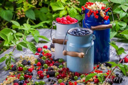 浆果，蓝莓，覆盆子，黑醋栗，鹅莓，黑莓，罐头，维生素