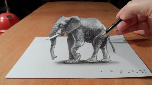 绘图，大象，3d