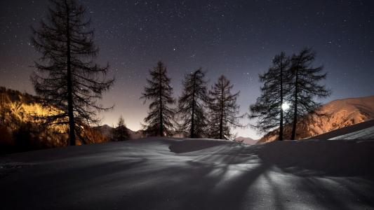 冬天，自然，树木，星星