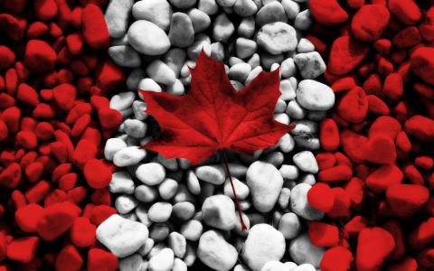 国旗，加拿大，石头