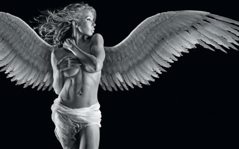 黑色，翅膀，羽毛，天使，穿孔，布，背景