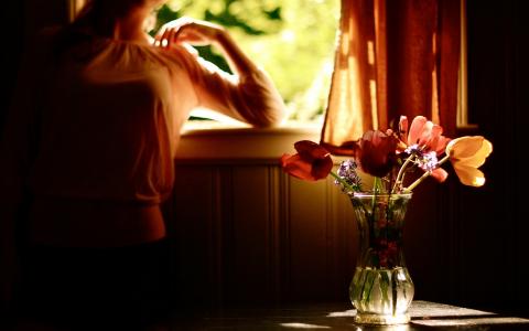 郁金香，花瓶，窗口