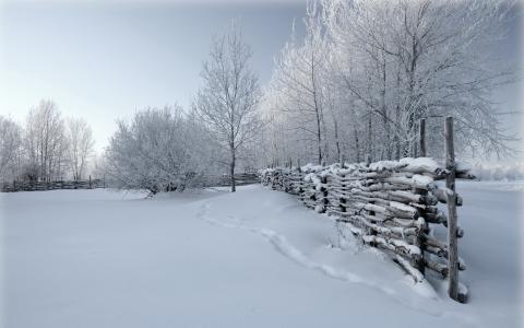 雪，自然，冬天，篱笆