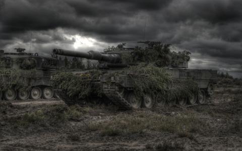 豹，坦克，伪装