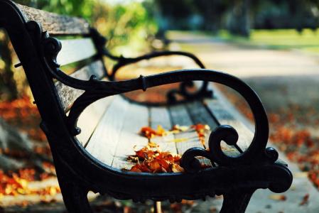 公园，长凳，叶子，秋天