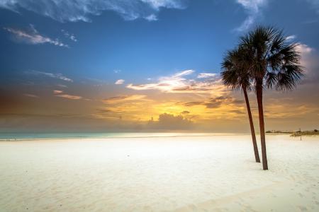 海滩，海湾，棕榈树，日落，沙滩，白色