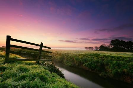 河，自然，草，围栏，露水，早上